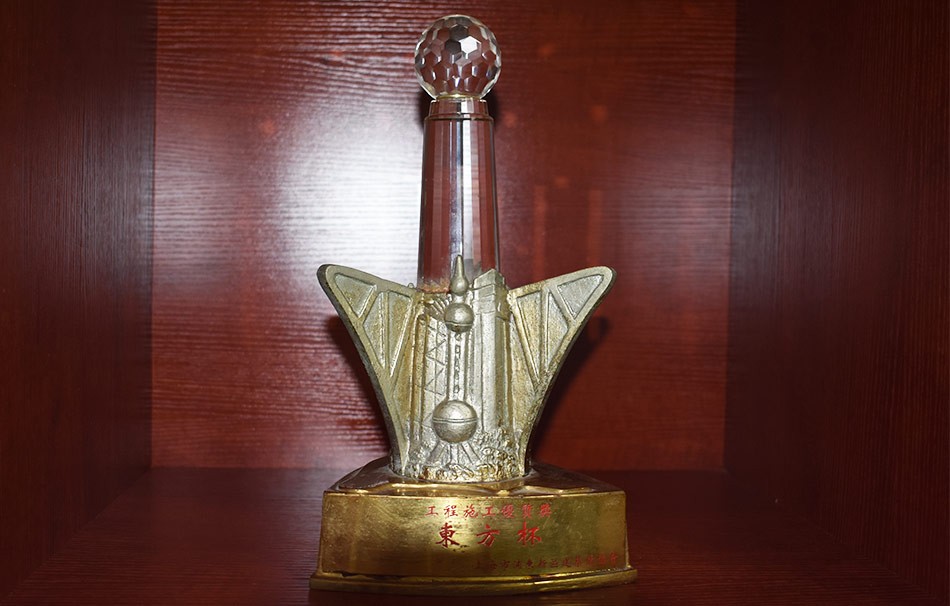 “东方杯”工程施工优质奖